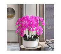 XFLSDHGD Orchidée artificielle dans un pot en céramique, grand arrangement floral phalaenopsis en soie, centre de table pour salle à manger, décoration d'intérieur
