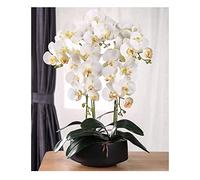 XFLSDHGD Orchidée Artificielle Phalaenopsis dans Le Pot Plantes artificielles réelles Bonsaï Fausse Fleur avec Vase en céramique pour décoration intérieure Table maître