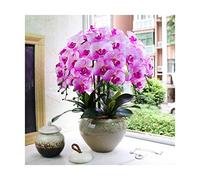 XFLSDHGD Orchidées artificielles avec Vase pour décoration intérieure PU phalaenopsis bonsaï Fausses Plantes Arrangement de Fleurs à la Maison.