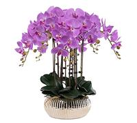 XFLSDHGD Phalaenopsis Artificiel avec Vase Artificiel Orchid bonsaï Faux Fausses Plantes de Salle à Manger Table centrales de Salon Arrangements de Salon décoration