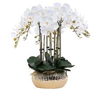 XFLSDHGD Phalaenopsis Artificiel avec Vase Artificiel Orchid bonsaï Faux Fausses Plantes de Salle à Manger Table centrales de Salon Arrangements de Salon décoration