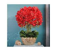 XFLSDHGD Phalaenopsis Artificiel avec Vase doré décoratif en Pot Faux de Soie Fleurs orchidées Fausses Plantes intérieurs Arrangements de Fleurs intérieures