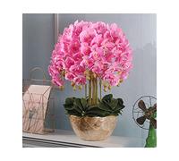 XFLSDHGD Phalaenopsis Artificiel avec Vase doré décoratif en Pot Faux de Soie Fleurs orchidées Fausses Plantes intérieurs Arrangements de Fleurs intérieures