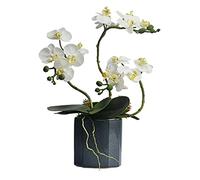 XFLSDHGD Phalaenopsis Artificiel avec Vase, Fausses Fleurs en Pot planté, Table de Table de Table de Table Centrale de Table de Bureau décoration de fête de Bureau (Couleur: c)