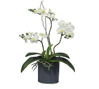 XFLSDHGD Phalaenopsis Artificiel avec Vase, Fausses Fleurs en Pot planté, Table de Table de Table de Table Centrale de Table de Bureau décoration de fête de Bureau (Couleur: c)