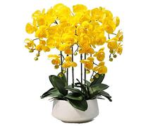XFLSDHGD Phalaenopsis Artificiel avec Vase Simulation décorative en Pot en Pot de Fausses orchidées Plantes artificielles pour Le Salon Table Basse Armoire télévisée décoration de la Maison