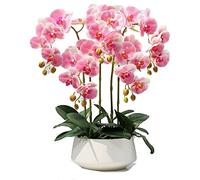 XFLSDHGD Phalaenopsis Artificiel avec Vase Simulation décorative en Pot en Pot de Fausses orchidées Plantes artificielles pour Le Salon Table Basse Armoire télévisée décoration de la Maison