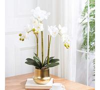XFLSDHGD Simulation Phalaenopsis Fleur Artificielle avec Vase en céramique dorée Faux Fleur décoration intérieure de Bouquet pour la Table de Bureau de Table de Table (Couleur: Blanc)