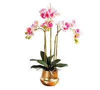 XFLSDHGD Simulation Phalaenopsis Fleur Artificielle avec Vase en céramique dorée Faux Fleur décoration intérieure de Bouquet pour la Table de Bureau de Table de Table (Couleur: Blanc)