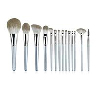 XFSRG 14 Pièces Set Pinceaux Maquillage Professionnels Poils Synthétiques Doux Manche Argenté Brosses Cosmétiques Complètes Visage Yeux