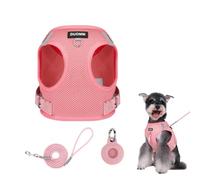 XFSRG 3 Pièces Harnais Chien avec Laisse Gilet Chien Stepin Ensemble pour Petits Chiens et Chats Harnais de Poitrine Respirant avec Distributeur de Sacs (XL)