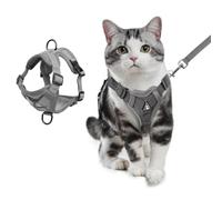 XFSRG Harnais Chat Antiévasion Gilet pour avec Laisse Ensemble et Laisse pour Réfléchissant Harnais Chat Réglable (Brown, s)