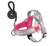 XFSRG Harnais Chien avec Laisse 1.5M Harnais Réglable en Maille Respirante Rose-Gris Confort et Sécurité pour Chiot Petit et Moyen Chiens