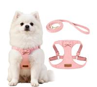 XFSRG Harnais Chien Nœud Papillon Anti Traction Facile à Mettre Réglable Harnais de Poitrine avec Longe pour Petit Moyens Chiens Promenades(Rose/XXS)