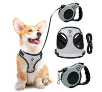 XFSRG Harnais pour Chats Et Chiens avec Laisse Anti Fugue Réglable par Bouton Gilet Securite Equipement Protection Animaux Domestiques (XS)