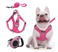 XFSRG Harnais pour Chiens Rose Confortable et Réglable avec Laisse Harnais Petit Chien Respirant et Sécurisé pour Promenades (XL)