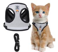 XFSRG Harnais Sécurisé pour Chat et Petit Chien, Veste Réglable Confortable Harnais de Marche avec Laisse pour Promenades en Plein Air