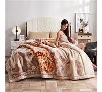 XFZJCHAP Couverture Couverture Fausse de Vison, couvertures Lourdes 79 "x91, Couverture en Molleton en Peluche, Couverture de lit imprimé Raschel réversible à 2 Plis, Couverture de Jet extérieur,