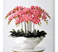 XFZJCHAP Fleur Artificielle dans Le Pot Grand Papillon Artificiel orchidée Fausse Falsification et Arrangement de Vase en Soie Papillon