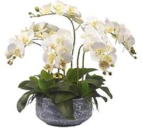 XFZJCHAP Fleur Artificielle phalaenopsis Fleur Artificielle avec Fleur en céramique Fausse Fleur de Fleur pour Le Salon de la Maison décoration de Fleurs en Plastique centres de Table