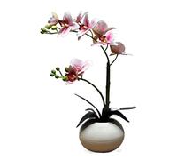 XFZJCHAP Fleurs artificielles Fausse Floraison Artificielle décoration décoration créative Salon Table à Manger de Bureau Fausse Fleur Fleur Petite décoration de Pots décoration (Couleur: d)