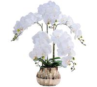 XFZJCHAP Fleurs artificielles Fleur de Soie Fausses Fleurs en Vase Fleurs artificielles phalaenopsis Fausse bonsaï orche