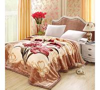 XFZJCHAP Léchardie de Couverture pondérée surdimensionnée, Jet de Taille Reine en Peluche Confortable, literie Raschel réversible, 200 * 230 cm, 4kg