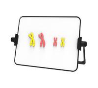 Xgdsnly Chromosome Modèle de Changement Kit de Démonstration Détachable Outil Pédagogique Instrument Éducatif Matériel PP Adapté à Usage En Classe Laboratoire, Rouge et Jaune