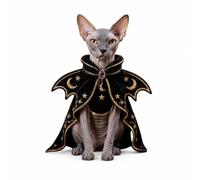 Xgdsnly Costume Chat avec Col d'halloween Cape Réglable Vêtement pour Chats, Sorcière Mystérieuse Lune De Minuit