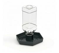 Xgdsnly Distributeur d’Eau pour Chéloniens, Vert Gris Foncé, Petit