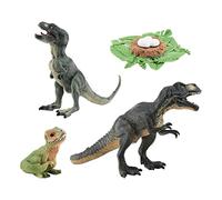 Xgdsnly Ensemble de 4 Figurines Représentant Le Cycle de Vie d'un Dinosaure, Réplique de Son Stade de Croissance, Jouet éducatif en Matériau, Tyrannosaure 177.3g
