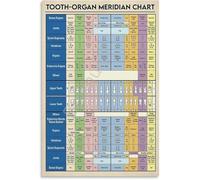XGINERFEX Anatomy Canvas Wall-Art Meridian Tooth Chart Educational Science Poster for Office Room Decor(Unframed,12x18inch(30x45cm))