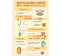 XGINERFEX Biology Educational Poster Reproduction in Flowering Plants Botanical Chart for Science Classroom Study(Unframed,12x18inch(30x45cm))