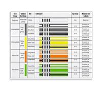 XGINERFEX BJJ Belt Progression Chart Poster White Grey Yellow Belt Rank Educational Reference Brazilian Jiu Jitsu Canvas Painting for Bedroom Studio(Unframed,08x12inch(20x30cm))