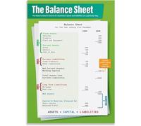 XGINERFEX Business Education Poster - Understanding the Balance Sheet Chart for Classroom & Study(Framed,16x24inch(40x60cm))