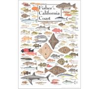 XGINERFEX California Marine Biology Poster, Fishes of the Pacific Coast Educational Chart, Scientific Wall-Art for Science Teacher, Student Birthday Gift(Framed,08x12inch(20x30cm))