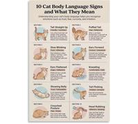 XGINERFEX Cat Body Language Signs Meanings Educational Poster Wall-Art Decor for Pet Lovers