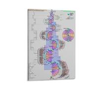 XGINERFEX Chemistry Periodic Table Canvas - Large Educational Wall-Art Print for School, Laboratory, Library & Science Lover Home Decor(Unframed,12x18inch(30x45cm))