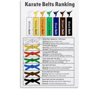 XGINERFEX Color Coded Karate Belt System Meaning Order Reference Poster Martial Arts Training Decor Wall-Art for Dojo Gym Home Office