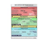 XGINERFEX Counselor Office Decor Window of Tolerance Emotional Regulation Chart Mental Health Poster for Room School Counselor Office Psychology Decor(Framed,16x24inch(40x60cm))