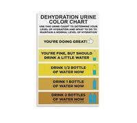 XGINERFEX Daily Water Intake Guide Poster Body Hydration Chart Canvas Print Modern Simple Home Decor Art for Clinic Living Room Wall(Framed,16x24inch(40x60cm))