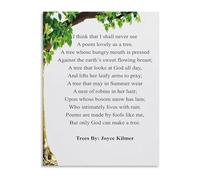 XGINERFEX Dream Big Little One Trees and Verse Canvas Art Print for Nursery Room and Cozy Reading Corner(Framed,08x12inch(20x30cm))