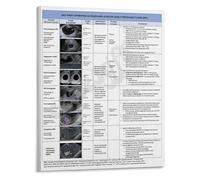 XGINERFEX Early Pregnancy Loss First Trimester Ultrasound Reference Poster Guide for Maternal Fetal Medicine Clinic Educational Wall-Art(Unframed,08x12inch(20x30cm))