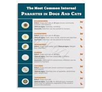 XGINERFEX Educational Parasite Poster Common Parasites in Dogs Cats Veterinary Chart Pet Clinic Decor Wall-Art