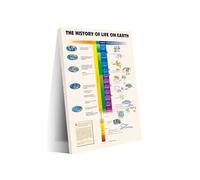 XGINERFEX Evolution of Life on Earth Canvas Print, Geological Time Scale, Vintage Science Wall-Art for Home Office Decor, Unframed(Framed,16x24inch(40x60cm))