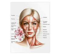 XGINERFEX Facial Muscles Anatomy Educational Poster Science Canvas Wall-Art for Office Clinic Study Room Decor(Framed,08x12inch(20x30cm))