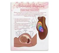 XGINERFEX Fundal Height Measurement Pregnancy Chart Educational Poster for Healthcare Training Nursing School Canvas Painting Wall-Art(Unframed,12x18inch(30x45cm))