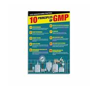 XGINERFEX Healthcare Poster GMP Principles Infographic Canvas Wall-Art for Hospital Administration Office(Framed,08x12inch(20x30cm))
