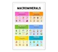 XGINERFEX Healthy Eating Visual Aid Poster - Colorful Food and Nutrient Chart for Kitchen Wall Decor, Informational Art for Home(Unframed,12x18inch(30x45cm))