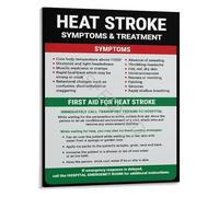XGINERFEX Heat Stroke Symptoms First Aid Emergency Guide Educational Infographic Poster Canvas Wall-Art for Workplace Clinic(Framed,12x18inch(30x45cm))